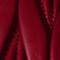 MIUMIU Arcadie matelassé nappa leather mini-bag "Red" - Bagistaofficial