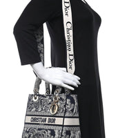 CHRISTIAN DIOR  Toile de Jouy Embroidered Medium Lady "D-Lite Blue" - Bagistaofficial
