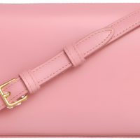 CELINE Shoulder Bag Claude In Natural Calfskin "Pink" - Bagistaofficial